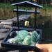 1lb Green Fluorite Crystal Rocks for Jewelry Making & Meditation | Bulk Rough Gemstone for Healing & Sculpture - 1lb - Buy Online on GoSupps.com
