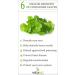 Herbeno Green Coriander Leaf Powder / Dhaniya Leaf Powder -100 GM by B Naturall - Buy Online on GoSupps.com