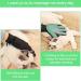 Silicone Cat & Dog Grooming Gloves - Pet Care Brush for Cats | International Shipping Available - Buy Online on GoSupps.com