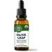 Vimergy USDA Organic Olive Leaf Extract - Immune Support & Antioxidant - 115ml - Buy Online on GoSupps.com