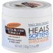 Palmers Cocoa Butter Formula Jar - 100g (Pack of 1) - Moisturizing Body Cream - Buy Online on GoSupps.com