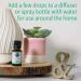 Garden of Life Organic Essential Oil - Calm Blend (Chamomile) 0.5 oz | Soothing Aromatherapy - Buy Online on GoSupps.com