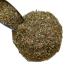 Herbal tea Agrimony plant 1 kg. CT Agrimonia eupatoria