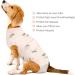 Kuoser Dog Recovery Shirt - Post-Op & Castration Vest for Small & Large Dogs | Prevent Licking Camouflage Design - Buy Online on GoSupps.com