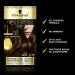 Buy Schwarzkopf Oleo Intense Hair Color - Mocha Brown 4-18 | Pack of 3 | Ammonia-Free Permanent Hair Dye | Covers Gray for Beautiful Results - Buy Online on GoSupps.com
