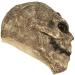 Buy Scarecrow Mask - Scary Burlap Sack Devil Skull & Jack O' Lantern Masks for Halloween | International Shipping - Buy Online on GoSupps.com