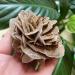 Natural Crystal Rough Home Natural Desert Rose Raw Stone Crystal Home Office Gift (Size : 160-200g)