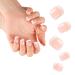 LIARTY French Short Fake Nails 140 Pcs 14 Different Size Artificial Press on Nails Tips Acrylic Full Cover Nails DIY False Nails for Women White
