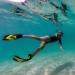 SIER Soft Silicone Full-Foot Swim Fins | Efficient Thrust | Tight Fitting | Yellow | EUR 39-40 US Men 6-7 Women 7-8 - Buy Online on GoSupps.com