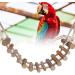 Zyyini Parrot Swing & Bird Toys: Wooden Ladder Rope Bridge for Lovebirds African Grey Cockatiels | Pet Training Essential - Buy Online on GoSupps.com