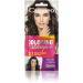 Delia Cosmetics Cameleo - Tinted Shampoo - Black Brown - Quick and easy color refresh "color by color" - Ammonia and oxidant free - Shampoo sachet - 40 ml