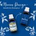 Laetitia Original Bitter Star Herbal Drops - Natural Herbal Tincture with 17 Herbs | Hildegard von Bingen | Fine Taste | 10ml - International Shipping Available - Buy Online on GoSupps.com