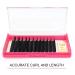 B&Qaugen Easy Fan Volume Lashes D-0.05 12-17 Mix Length - D Curl Eye Extensions - Buy Online on GoSupps.com