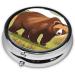Brown Bear Walking Round Pill Box | 3 Compartment Portable Organizer for Travel | Ideal for Purse & Pocket - Buy Online on GoSupps.com