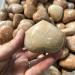 Home Natural Orange Moonstone Heart Stone Specimen Spiritual Crystal Ornament 1pcs Full of Texture (Size : 200-250g) - Buy Online on GoSupps.com