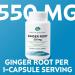 Earth's Splendor Ginger Root 550 mg Supplement for Men & Women Supports Digestive Health No Artificial Color or Preservatives (550 mg 100 Capsules) - Buy Online on GoSupps.com
