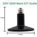 Buy Aiicioo Terrarium Heat Lamp | Ceramic Reptile Light for Lizards Bearded Dragons Chickens & Snakes | Eye Protection | 220V E27 (250W) - Buy Online on GoSupps.com