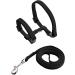 PUPTECK Adjustable Cat Harness with Leash - Black Nylon Strap Collar - Buy Online on GoSupps.com