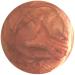 Flori Roberts Mineral Base Lip Shine - Vibrant Lip Gloss for Women of Color Non-Sticky Long Wear High Shine Finish in Copper - Buy Online on GoSupps.com