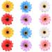 Nifocc flower hair clip multiple -colored sunflower hair needles simulation flowers hair pin hair jewelry for women women girl beach party wedding decoration - 6 colors 12 pieces