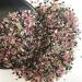 Natural Crystal Rough 50g Natural Colourful Tourmaline Gravel Original Stone Purify Stones and Crystals - Buy Online on GoSupps.com