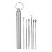 VOCOSTE 6Pcs Stainless Steel Ear Cleansing Tool Set Ear Cleaner Ear Care Set with Titanium Storage Case