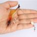 Goture Soft Shrimp Lures Fishing Bait Set - 12 Piece Luminous Shrimp Lures for Trout, Bass, Salmon, Crappie - Sharp Hooks for Saltwater & Freshwater Fishing - Buy Online on GoSupps.com