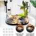 FRCOLOR 24 Pcs Turtle Teeth Supplements for Shrimp Mineral Bead Turtle Tank Mineral Calcium Care - Buy Online on GoSupps.com