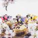 120 Pcs Edible Butterfly Birthday Cake Toppers Butterfly Cupcake Toppers Colorful Wafer Paper Butterfly Cake Decorations for Wedding Birthday Baby Shower Party Supplies Food Decoration - Buy Online on GoSupps.com