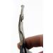 Master Grooming Tools Stainless Steel Pet Nail Scissors - Medium Size for Cats and Birds - Buy Online on GoSupps.com