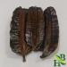 Prekese Aidan Fruit | Tetrapleura Tetraptera | 5 Pieces | Herb To Body - Buy Online on GoSupps.com