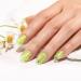 BLUESKY Gel Nail Polish Flower Gel Lily Pad Leap BFL02 Green Jelly Long Lasting Chip Resistant (Requires Drying Under UV Or LED Lamp) - Buy Online on GoSupps.com