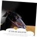 Happyyami 3pcs Cat Muzzle Dog Muzzles Dog Mouth Cover Muzzle for Cats Kitten Mask Dog Basket Dog Cover Pp - Buy Online on GoSupps.com