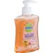 Breez Kids Soft on Skin Dispenser Hand Soap Grapefruit Fragrance (6x 250mls) Antibacterial Soap Scented Soap for Children. Bulk Hand Sanitiser for Kids Box of Kids Hand Soap. - Buy Online on GoSupps.com