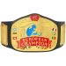 WWE Authentic Wear European Championship Replica Title Belt Multi - Buy Online on GoSupps.com