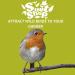 The Suet Shop 80g x 50 Standard Suet Fat Balls - High Energy & Protein for Wild Birds - Buy Online on GoSupps.com