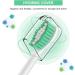 6 Pack Philips Sonicare Replacement Brush Heads - Medium Soft Dupont Bristles - Compatible with E-Series Essence Xtreme Elite - Electric Toothbrush Heads - Buy Online on GoSupps.com