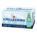San Pellegrino Sparkling Water (Glass) 24 x 25cl 250 ml (Pack of 24)