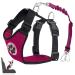 Eyin dog harness with seat belt for car 2 carabin hooks-combined with seat belt buckle child safety seat or trunk adjustable breathable dishes (pink s) rosarot s