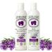 LiceLogic Lice Prevention Shampoo and Conditioner Set Made with Natural LICEZYME | Non Toxic Formula Safe for Daily Use | Repels Super Lice, Eggs and Nits Naturally | 8 oz Lavender