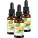 Kopp Vital Vegan Vitamin K2 Drops | 3 x 30 ml | High Bioavailability | 99.5% All-Trans | Soy-Free | Pharmacy Quality - Buy Online on GoSupps.com