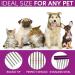 10-Inch Pet Comb with Rounded Stainless Steel Teeth for Comfortable Grooming - Purple - Buy Online on GoSupps.com