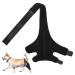 Siopob Dog Leg Brace | Dog Elbow Brace Knee Immobilizer - Leg Braces for Dogs Pet Knee Brace He-lp Dog Keep The Joint Stable Preve-nt Injuries