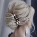 Casdre Black Flower Bride Wedding Hair Pins Silver Crystal Bridal Hair Pieces Leaf Hair Accessories for Women and Girls(Pack of 2)