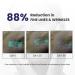 0.1% Retinol Night Cream Medical-Grade Encapsulated Formula Dermatologically Tested Hydrating Treatment for All Skin Types Wrinkle Repair 30g - Buy Online on GoSupps.com