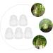 Yardenfun 5pcs Vegetable Ginseng Fruit for Garden Fruit Vegetable Small Fruit Gourd - Buy Online on GoSupps.com