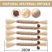 Tuibeidamai Matatabi Cat Sticks - 5-Piece Set for Tooth Cleaning & Chewing | Cat Mint Toys for Healthy Teeth & Fun Play - Buy Online on GoSupps.com
