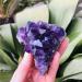 Natural Dream Amethyst Quartz Cluster SpecimenCan be Used for (Color : 70-80g Size : 1pc) HOMEZHOU (Color : 70-80g Size : 3pc) 3pc 70-80g - Buy Online on GoSupps.com