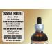 Caraway (Carum carvi) Liquid Extract - 2 oz Bottle - Buy Online on GoSupps.com