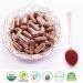 Herbsforever Joint Health Capsules - 90 Capsules - Joint Supplement for Promoting Joint Health - Buy Online on GoSupps.com